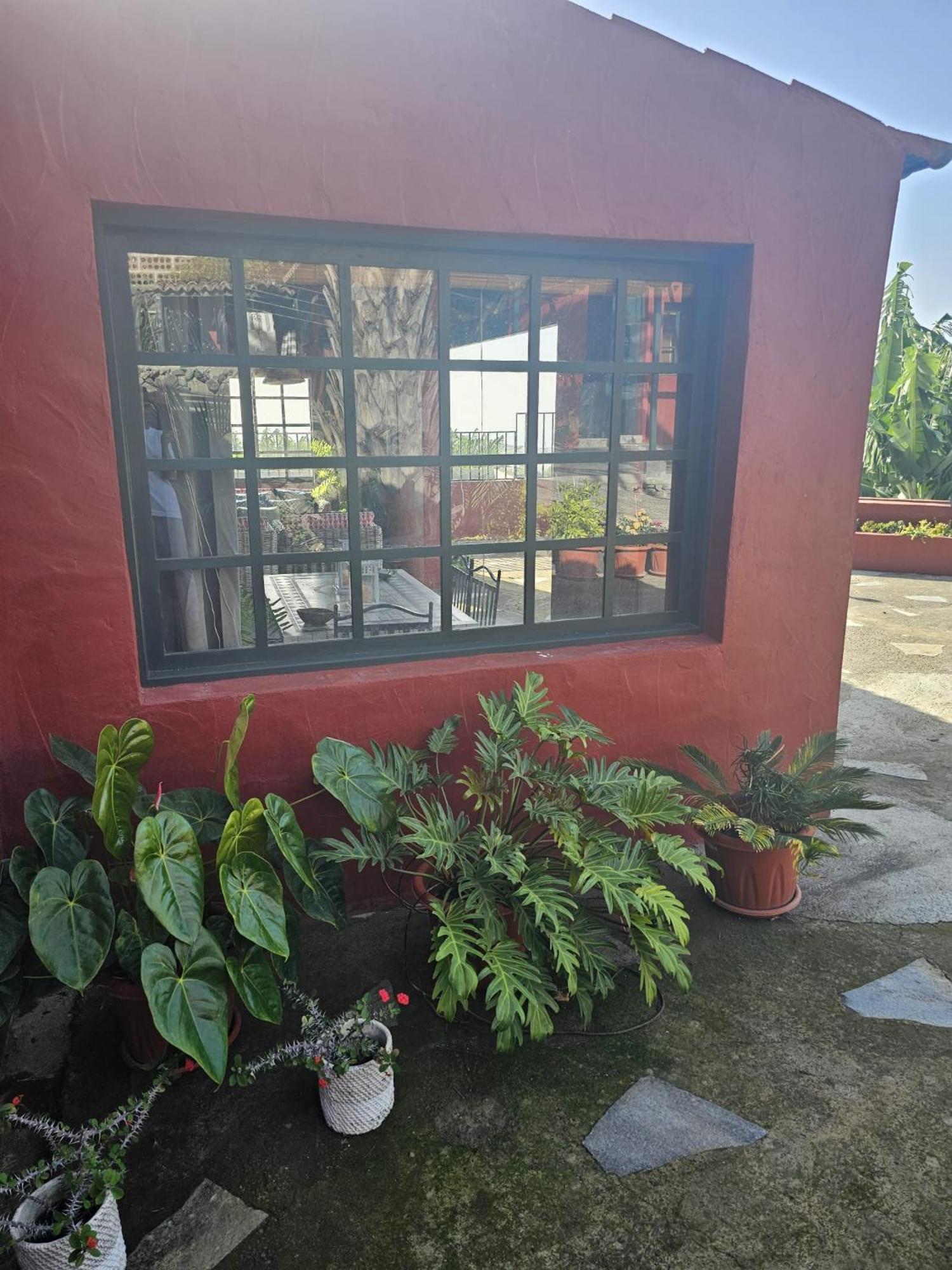 Casa Rural El Pinito Con Piscina Privada เอลปาโซ ภายนอก รูปภาพ